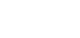 腦高映像