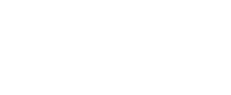 踩影子偶動畫